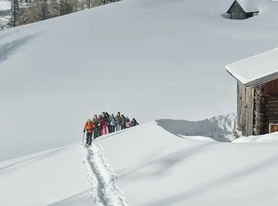 Schneeschuhwandern in der Region Schladming-Dachstein